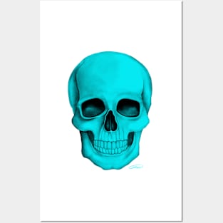 Turquoise Skull (On White Background) Posters and Art